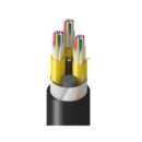 Belden TUSDK036RN2N Fiber Optic Patch Cord, TU DN OS2 36F Cellular Polyethylene OFNR