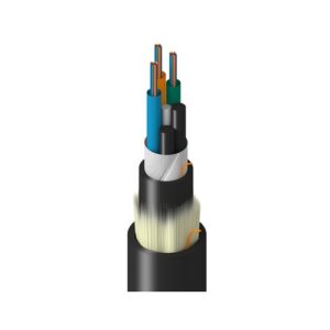 Belden TUSLG036R22N Fiber Optic Cable