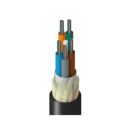 Belden TUSLG060RN2N Fiber Optic Cable