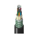 Belden TUSLG096RS2N Fiber Optic Cable